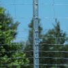 stalp gard zincat preria 50x30
